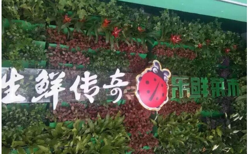 速速圍觀!誰敢與樂城團隊這樣正面PK?